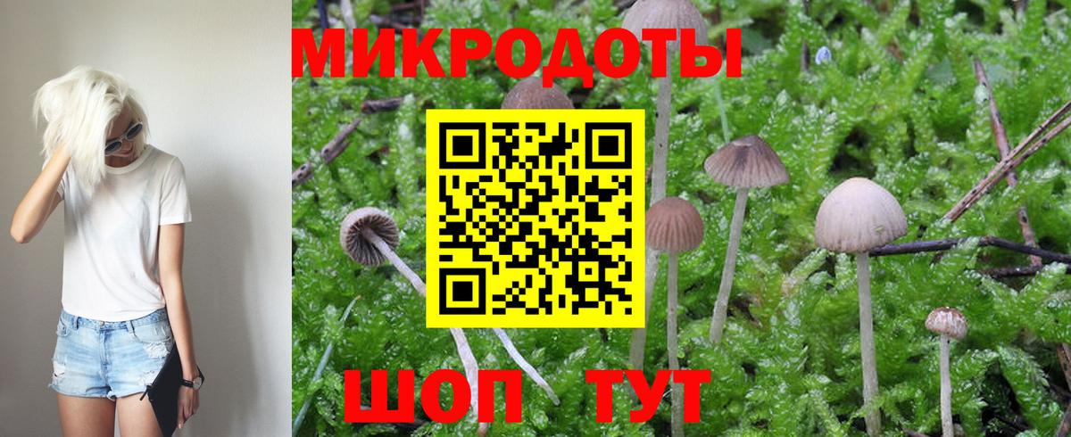 Псилоцибиновые грибы ЛСД  где купить наркоту  Калуга  Вход с VPN 